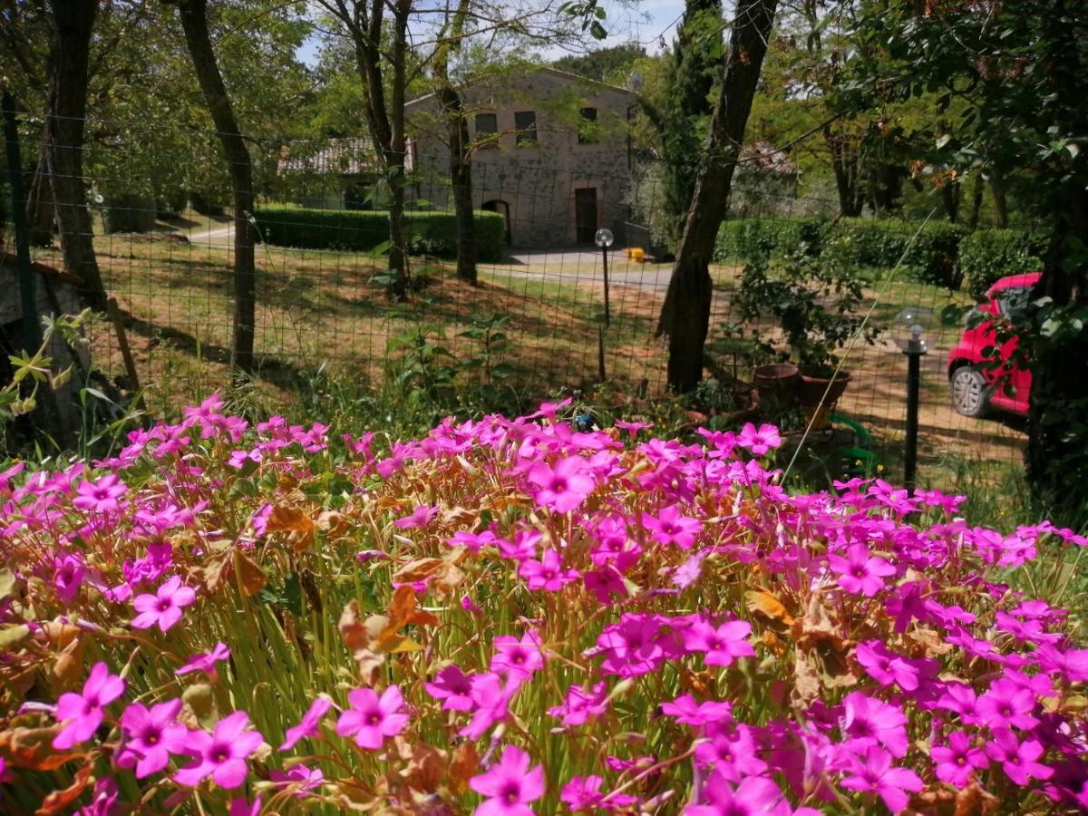 Agriturismo Il Cornalino Castel Viscardo Kültér fotó