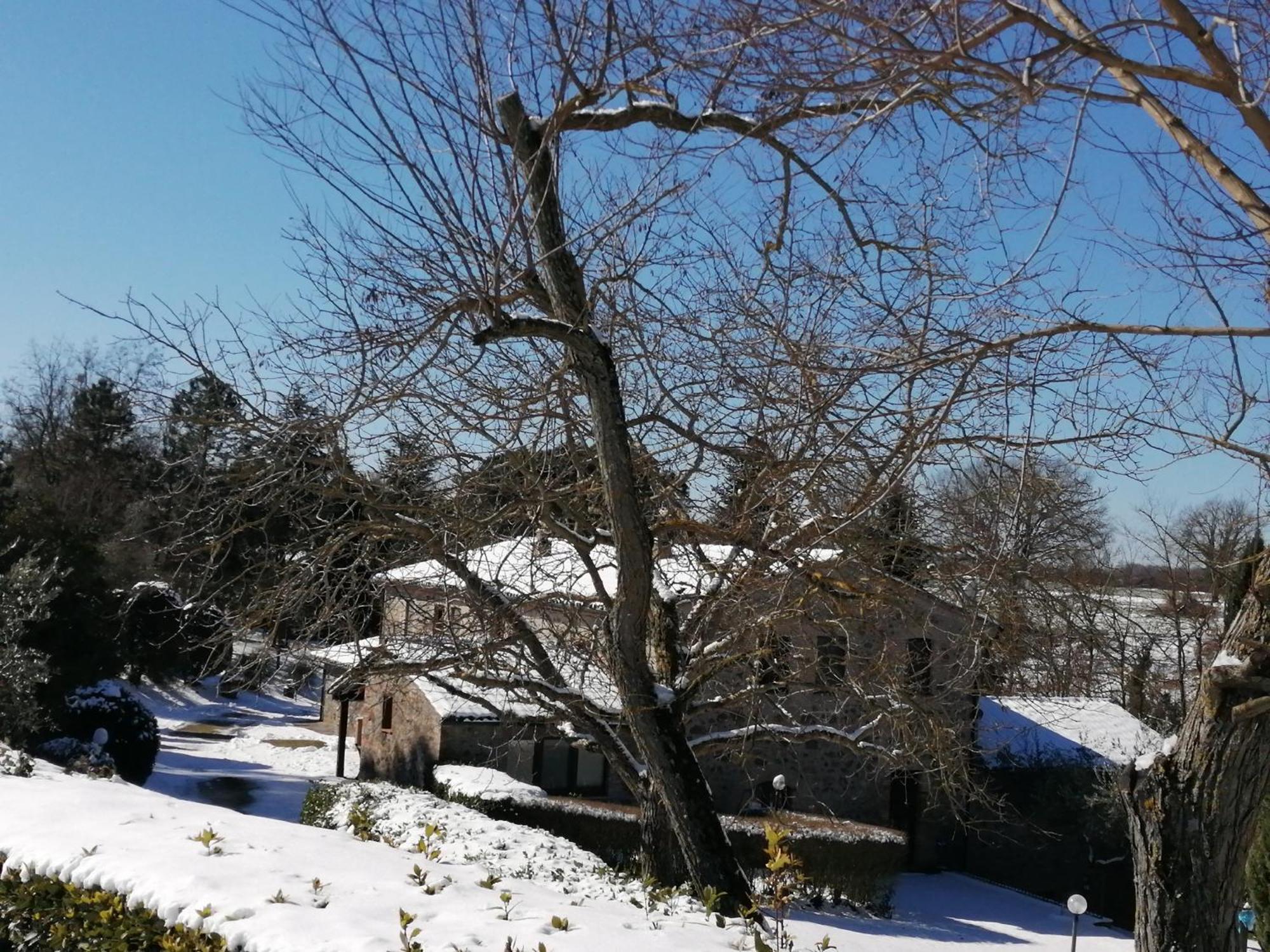 Agriturismo Il Cornalino Castel Viscardo Kültér fotó