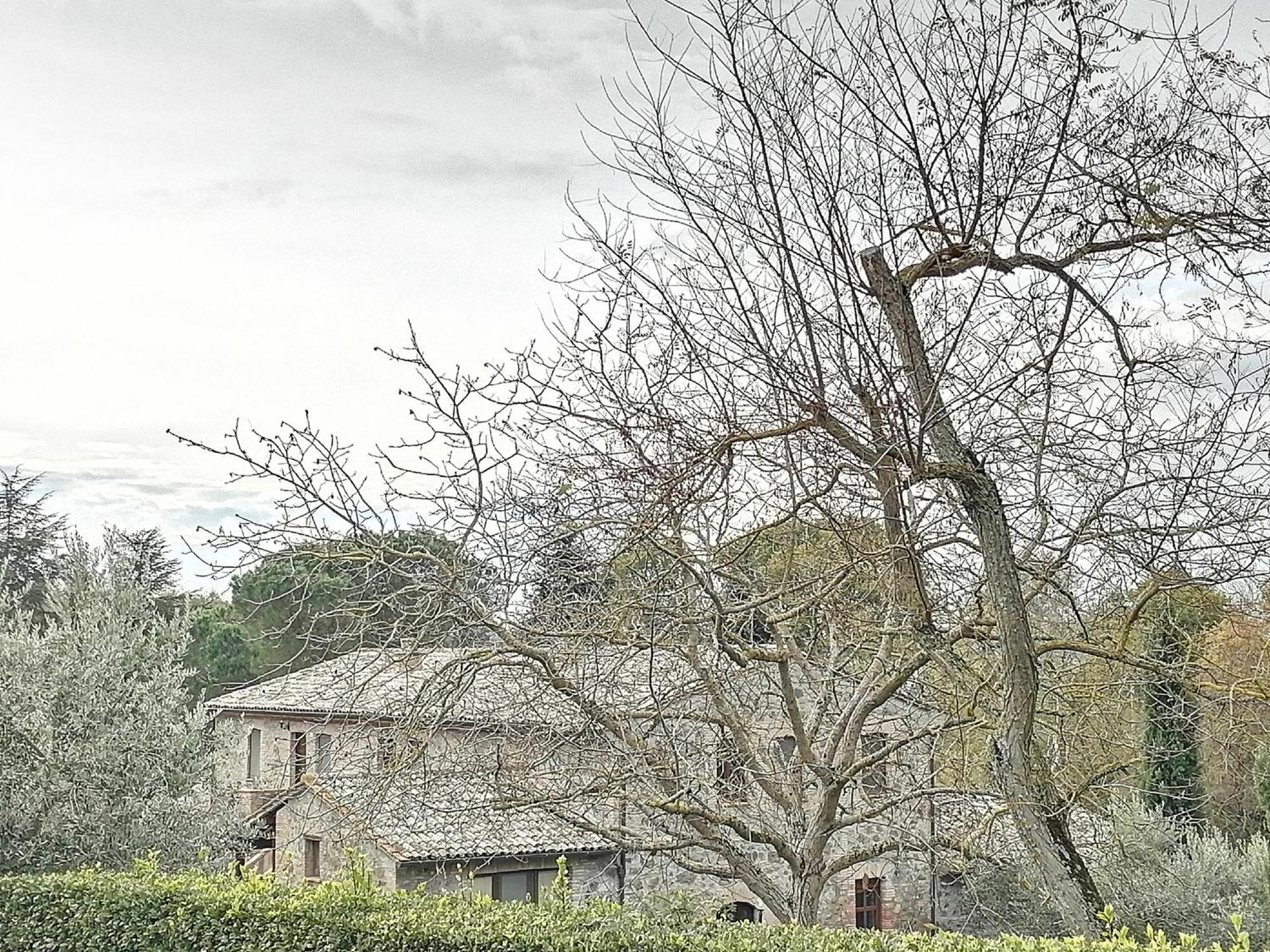 Agriturismo Il Cornalino Castel Viscardo Kültér fotó