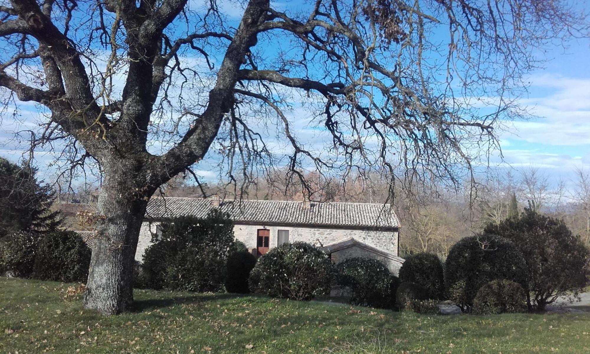Agriturismo Il Cornalino Castel Viscardo Kültér fotó